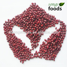 Natural Small Red Bean